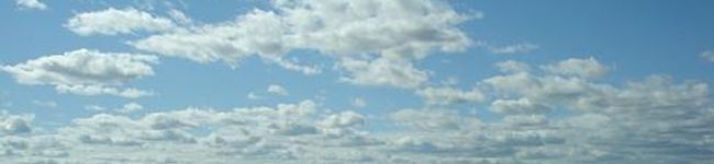 おこのすけ's header image