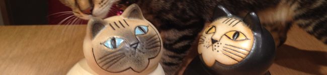 ひーたんママパパ's header image