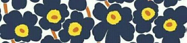 ブチ猫ドルチ's header image