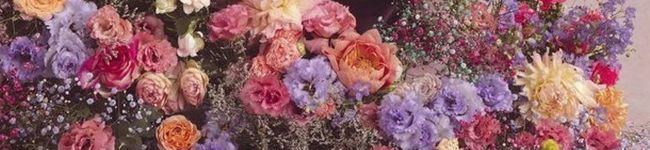 クックG7HKMM☆'s header image