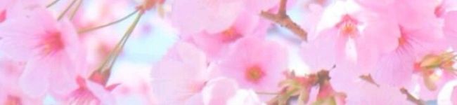 ♡せりな♡'s header image