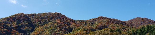 588407's header image