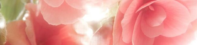 季実花's header image