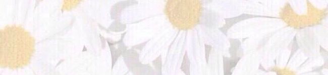 みかん警察's header image