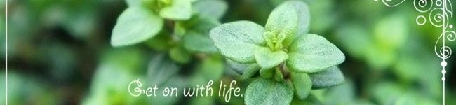 Dreamcream's header image