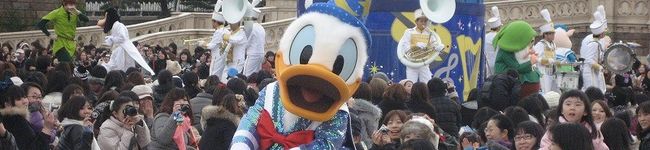 しろぼたん's header image