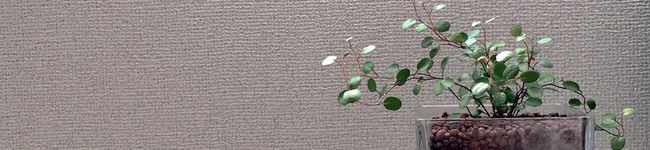 gabu_may's header image