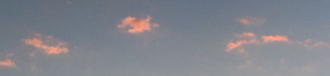 wishkaka's header image
