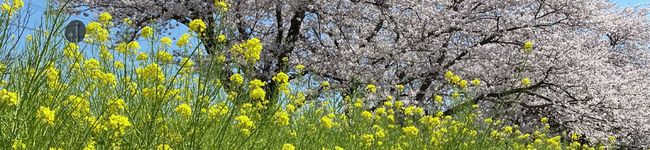 ☆よしみ☆☆'s header image
