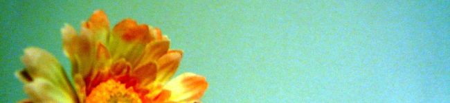 izuka's header image