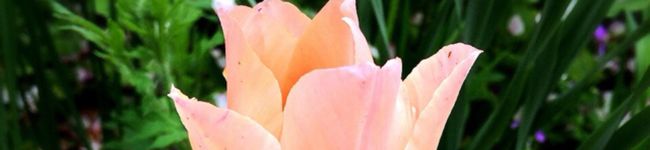 tomio30's header image