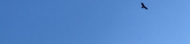 Masssa's header image