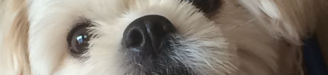 もこぴよキッチン's header image