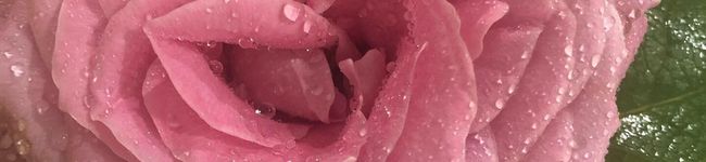 aki1234567's header image