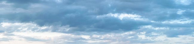 sen23's header image