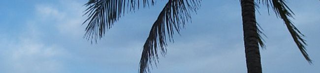 Tweed Heads's header image