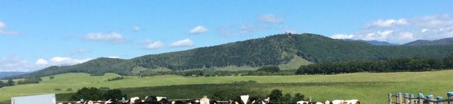 393toomoti's header image