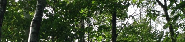 Y＊K's header image