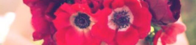 HM1027's header image