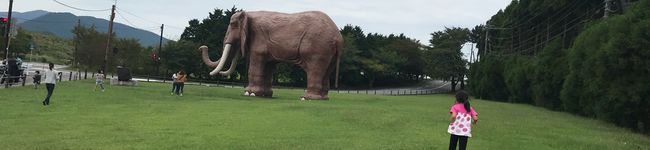 faafai's header image
