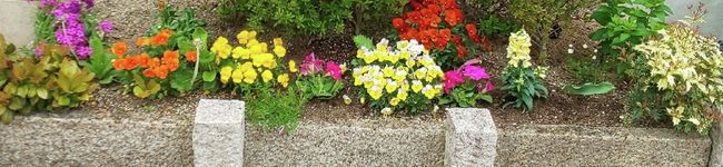 erkt8☆'s header image