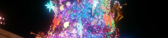 凌央亜依ママ's header image