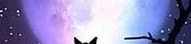 クックO26LAT☆'s header image
