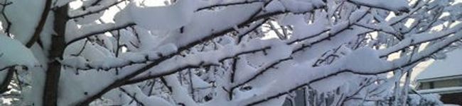 naozoh's header image