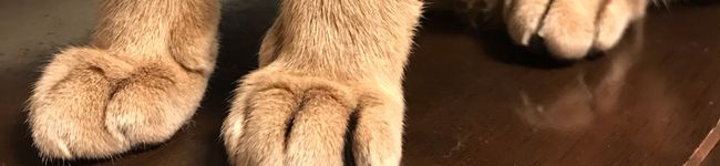 maddy103's header image
