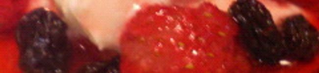 meeeo's header image