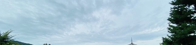 楠木ゆず's header image
