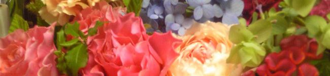 rekkaera's header image