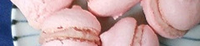 しのぴょん's header image