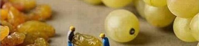 あがたまさき's header image