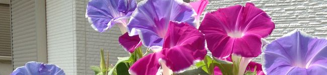 きい0320's header image