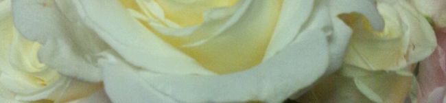 ririkoキッチン's header image