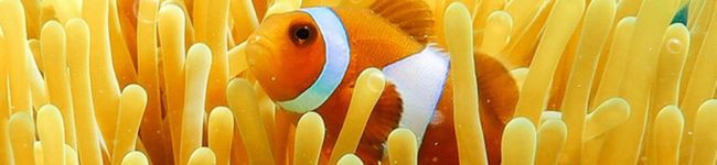 TamTam！'s header image