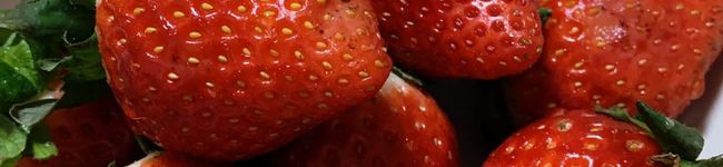 喫茶れもん's header image