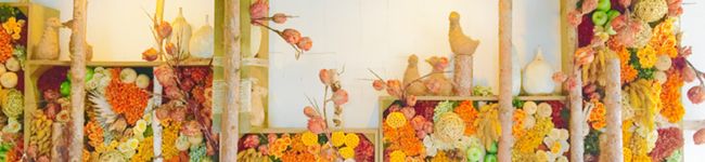 ____mr____'s header image