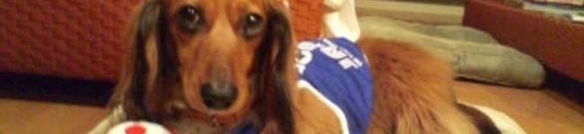 Annette's header image