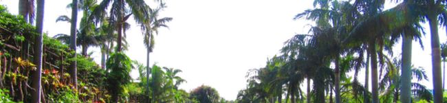 amam1930's header image