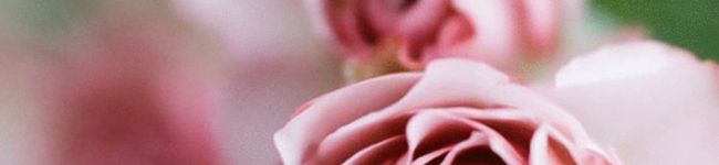 YUNA0702's header image