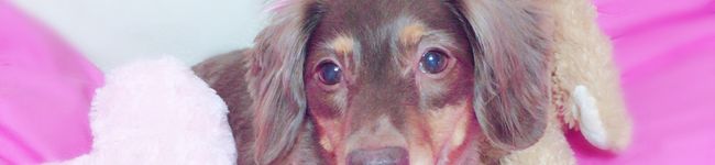 °♡coco♡°'s header image