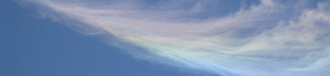 honeycom's header image