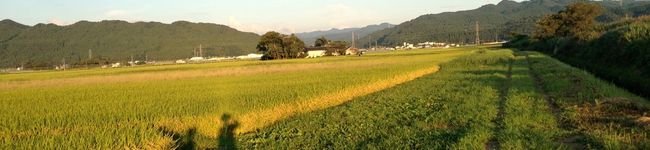 神子竜彦's header image
