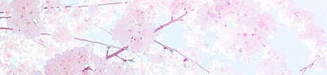 鈴木美優's header image