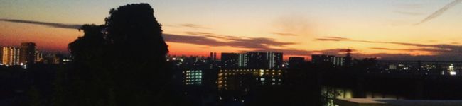 籠華ちん's header image