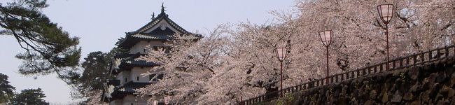 ゆなゴンママ's header image