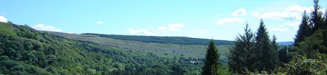 michey315's header image