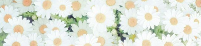 seyumama's header image